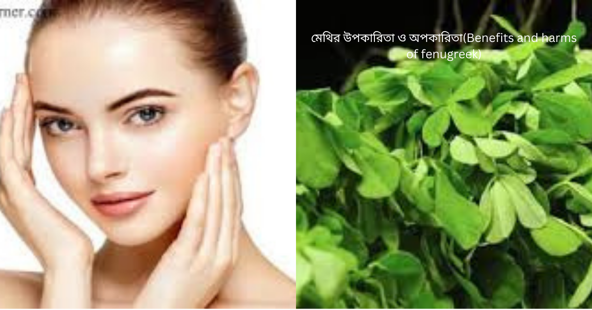 মেথির উপকারিতা ও অপকারিতা(Benefits and harms of fenugreek)