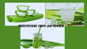  অ্যালোভেরা জেল এর ব্যবহার