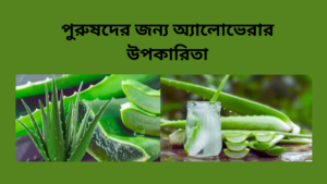 পুরুষদের জন্য অ্যালোভেরার উপকারিতা