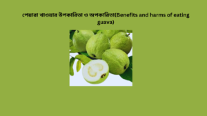 পেয়ারা খাওয়ার উপকারিতা ও অপকারিতা(Benefits and harms of eating guava)