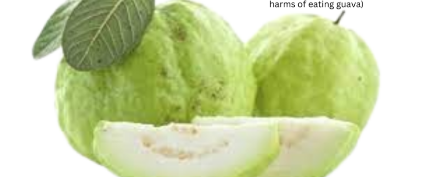 পেয়ারা খাওয়ার উপকারিতা ও অপকারিতা(Benefits and harms of eating guava)
