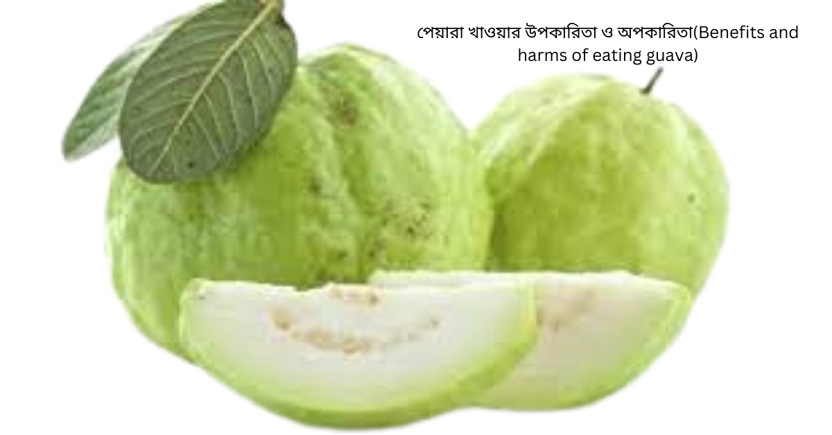 পেয়ারা খাওয়ার উপকারিতা ও অপকারিতা(Benefits and harms of eating guava)