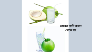 ডাবের পানি কখন খেতে হয়