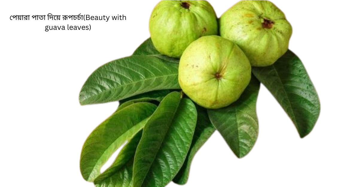 পেয়ারা পাতা দিয়ে রূপচর্চা(Beauty with guava leaves)