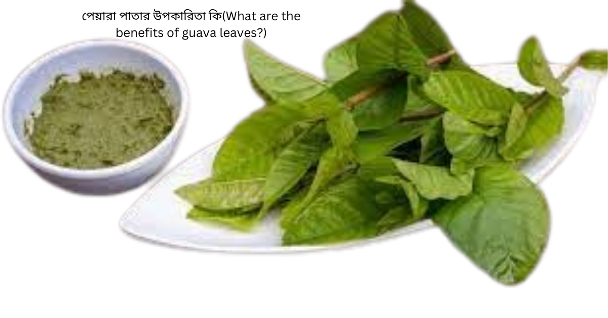 পেয়ারা পাতার উপকারিতা কি(What are the benefits of guava leaves?)