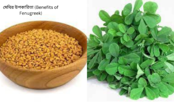 মেথির উপকারিতা (Benefits of Fenugreek)