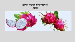 ড্রাগন ফলের স্বাদ লাগে না কেন?