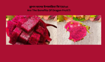 ড্রাগন ফলের উপকারিতা কি?(What Are The Benefits Of Dragon Fruit?)