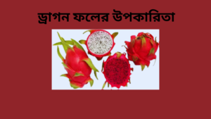 ড্রাগন ফলের উপকারিতা 